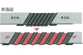 アコーディオ　テープ